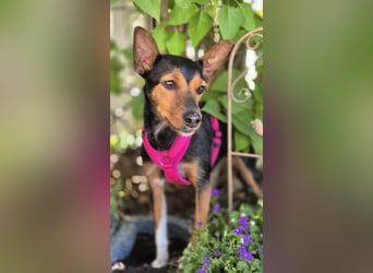 Heidi, sucht ihre passenden Menschen
