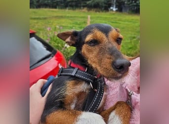 Heidi, sucht ihre passenden Menschen