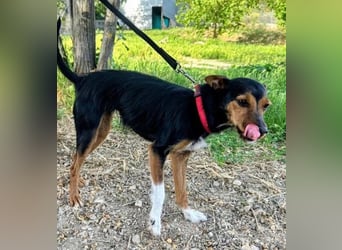 Heidi, sucht ihre passenden Menschen
