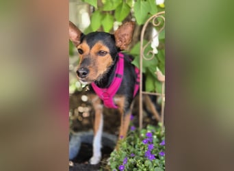 Heidi, sucht ihre passenden Menschen