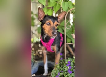 Heidi auf Familiensuche
