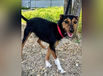 Heidi, sucht ihre passenden Menschen