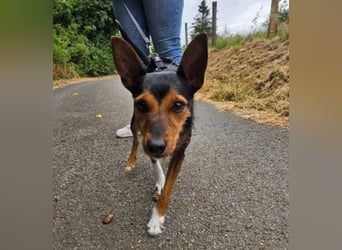 Heidi, sucht ihre passenden Menschen