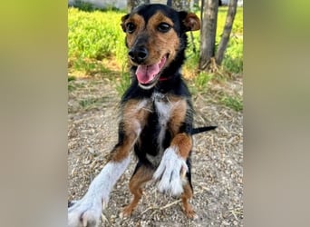 Heidi, sucht ihre passenden Menschen