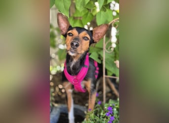 Heidi, sucht ihre passenden Menschen