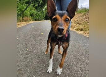 Heidi, sucht ihre passenden Menschen