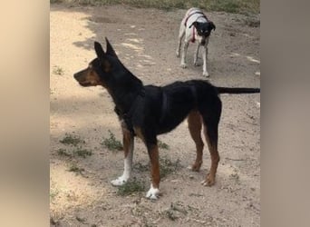 Heidi, sucht ihre passenden Menschen