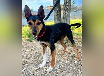 Heidi, sucht ihre passenden Menschen