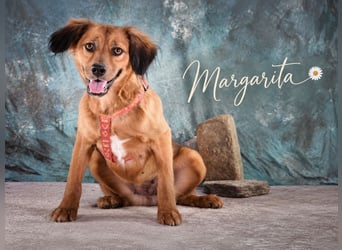 Margarita – kleines Herz sucht großes Vertrauen