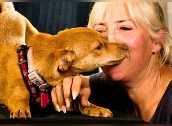 Shrimps - fröhlicher Sonnenschein