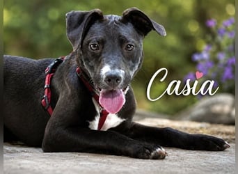 Casia - kleine Entdeckerin