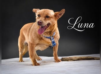 Luna - Dame in den besten Jahren