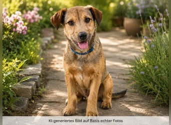 Terry - lieber Jungspund