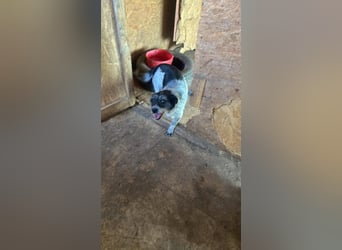 Sufletel - ihre Vergangenheit soll nicht ihre Zukunft bestimmen