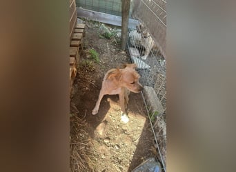 Bobita - mit 13 Jahren soll sein Leben endlich beginnen