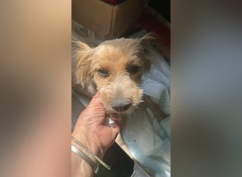 Bobita - mit 13 Jahren soll sein Leben endlich beginnen
