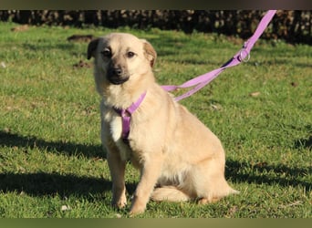 Die Zauberhafte Ticina...