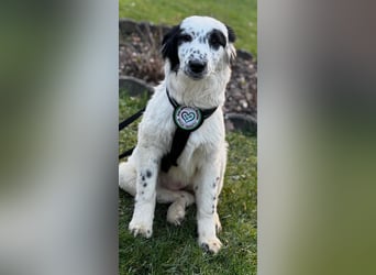 Neria sucht ihre Menschen...