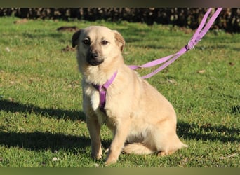 Die Zauberhafte Ticina...