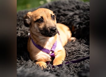 Wendy unsere kleine sensible...