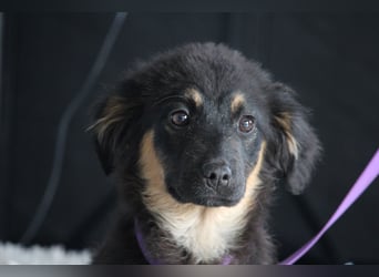 Mera hat endlose Liebe zu verschenken!