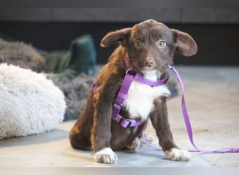 Benita unsere kleine Schönheit..