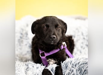 Hallo, ich bin die hübsche Sembra...