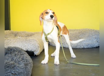 Narami sucht liebevolles Zuhause...