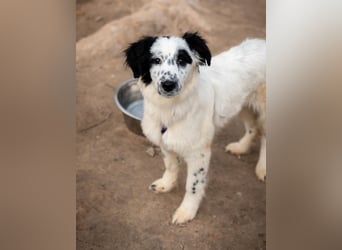 Neria sucht ihre Menschen...