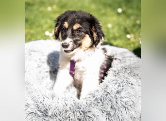 Lina unser kleiner Sonnenschein...