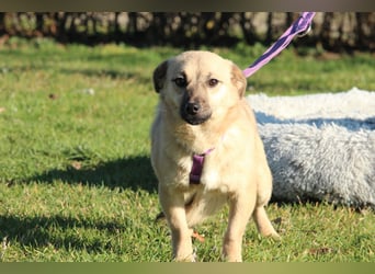 Die Zauberhafte Ticina...