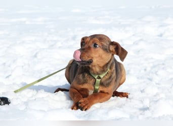 Jando möchte sein Herz verschenken...