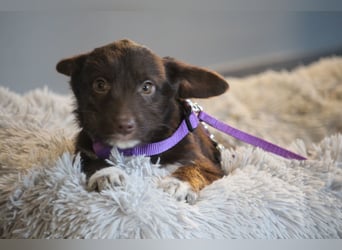 Benita unsere kleine Schönheit..