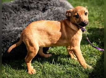 Talisa unsere kleine Schönheit ...