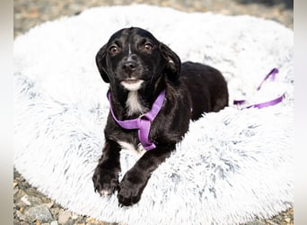 Mausi unsere kleine Prinzessin.