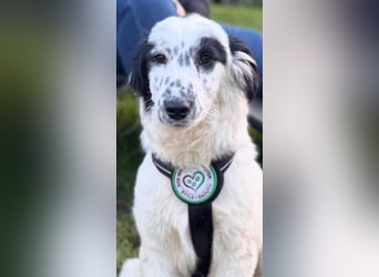 Neria sucht ihre Menschen...