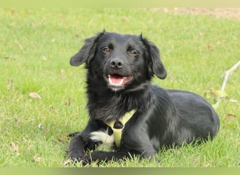 Levi möchte sein Herz verschenken...