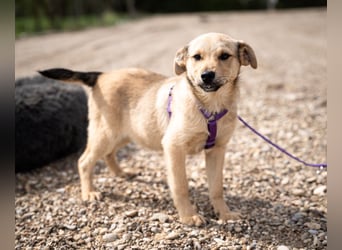 Wer schenkt Lisana ein zu Hause...