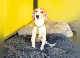 Narami sucht liebevolles Zuhause...