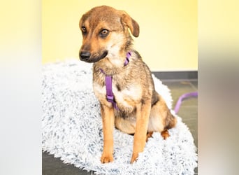 liebenswerte kleine - Serina