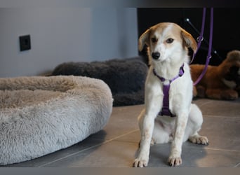 Rumi sucht ihre Lieblingsmenschen...