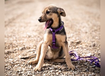 Galina sucht ihr Für-Immer-Zuhause!