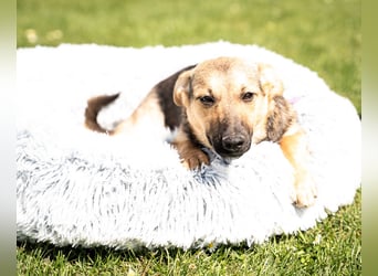 Yami kleine Kämpferin mit großem Herzen