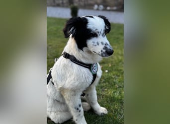 Neria sucht ihre Menschen...