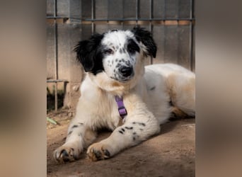 Neria sucht ihre Menschen...