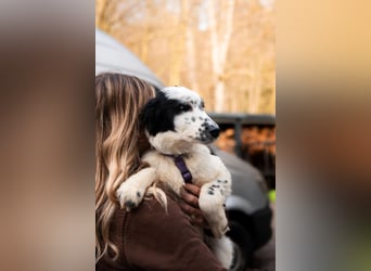 Neria sucht ihre Menschen...