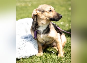 Yami kleine Kämpferin mit großem Herzen