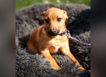 Talisa unsere kleine Schönheit ...