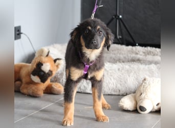 Mera hat endlose Liebe zu verschenken!