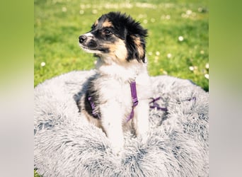 Lina unser kleiner Sonnenschein...